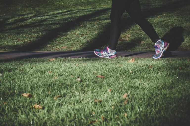 Person wearing colorful running shoes walking on a paved park path with green grass nearby
